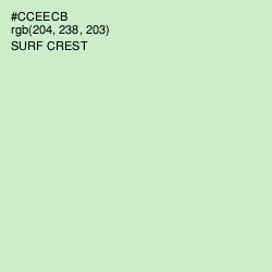 #CCEECB - Surf Crest Color Image